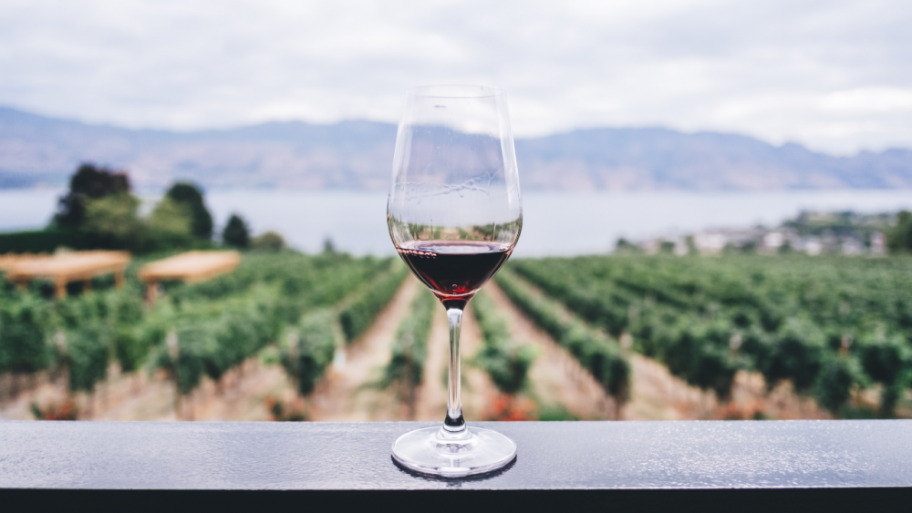産地から自分好みの赤ワインを見つけよう！