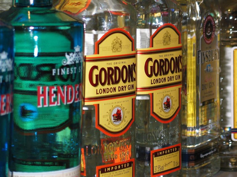 ジンとは？種類から、おすすめのジン、ジンの人気カクテルまで徹底解説！ | 美味しいお酒研究所