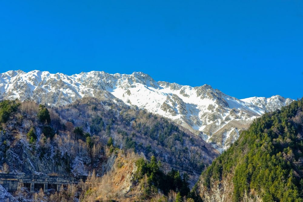 富山の日本酒の特徴