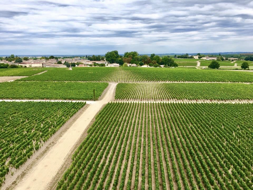 リオハはスペインを代表するワイン産地！ 